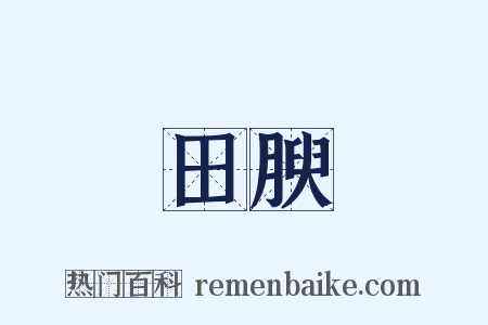 田腴是什么意思的图片